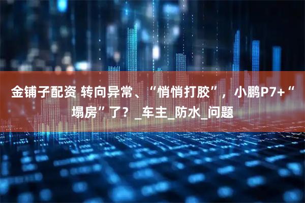 金铺子配资 转向异常、“悄悄打胶”，小鹏P7+“塌房”了？_车主_防水_问题